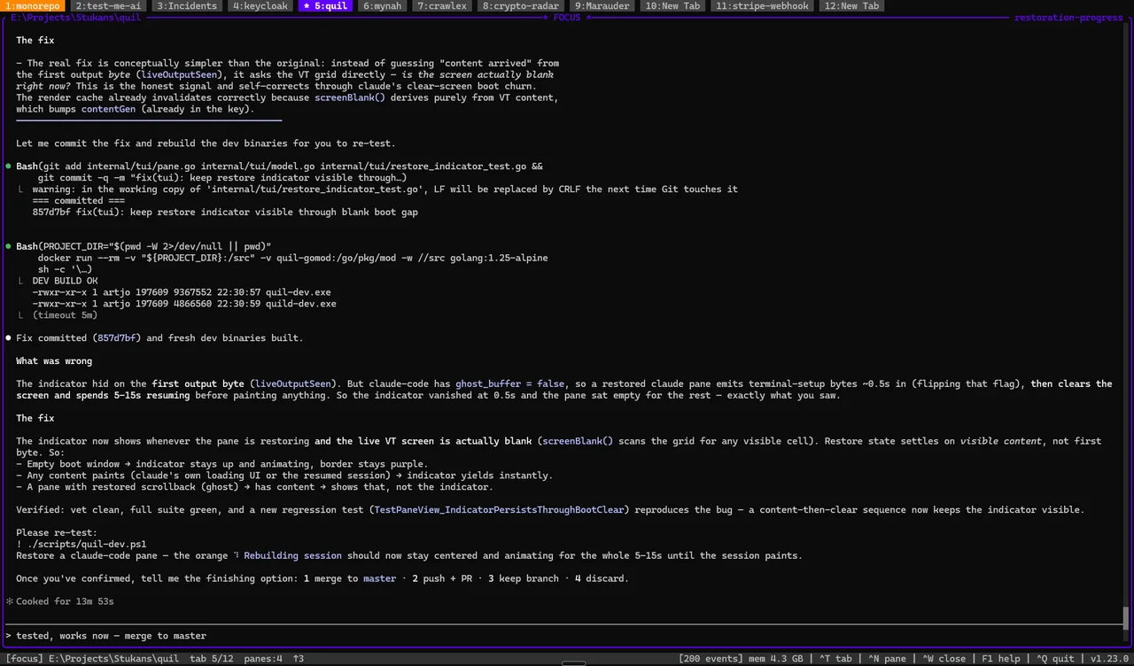 Quil in focus mode with a dozen project tabs — many AI sessions, one workspace